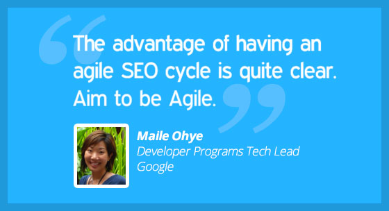 В 2012,   Maile Ohye   (Технический руководитель программ разработчиков в Google) выпустила видео, где она обсуждает   5 распространенных ошибок в SEO   ,  Пятая распространенная ошибка, которую она идентифицирует, заключается в том, что она не выполняет «гибкую SEO»